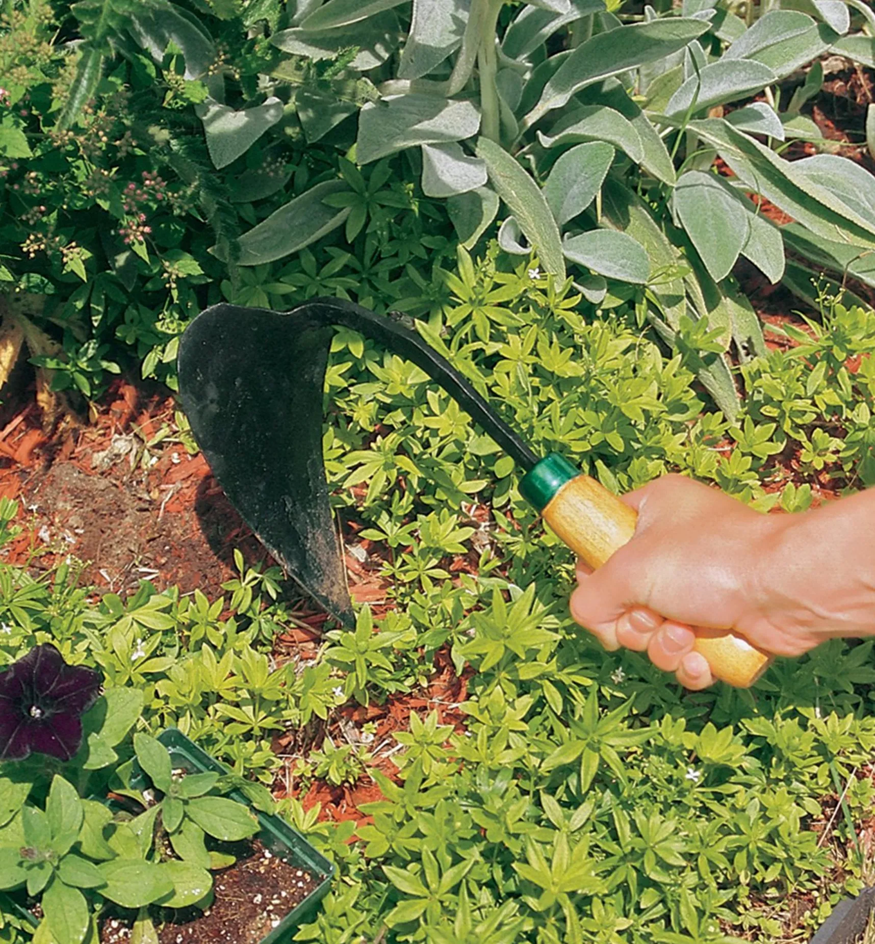Outlet Ho-Mi Diggers Weeding