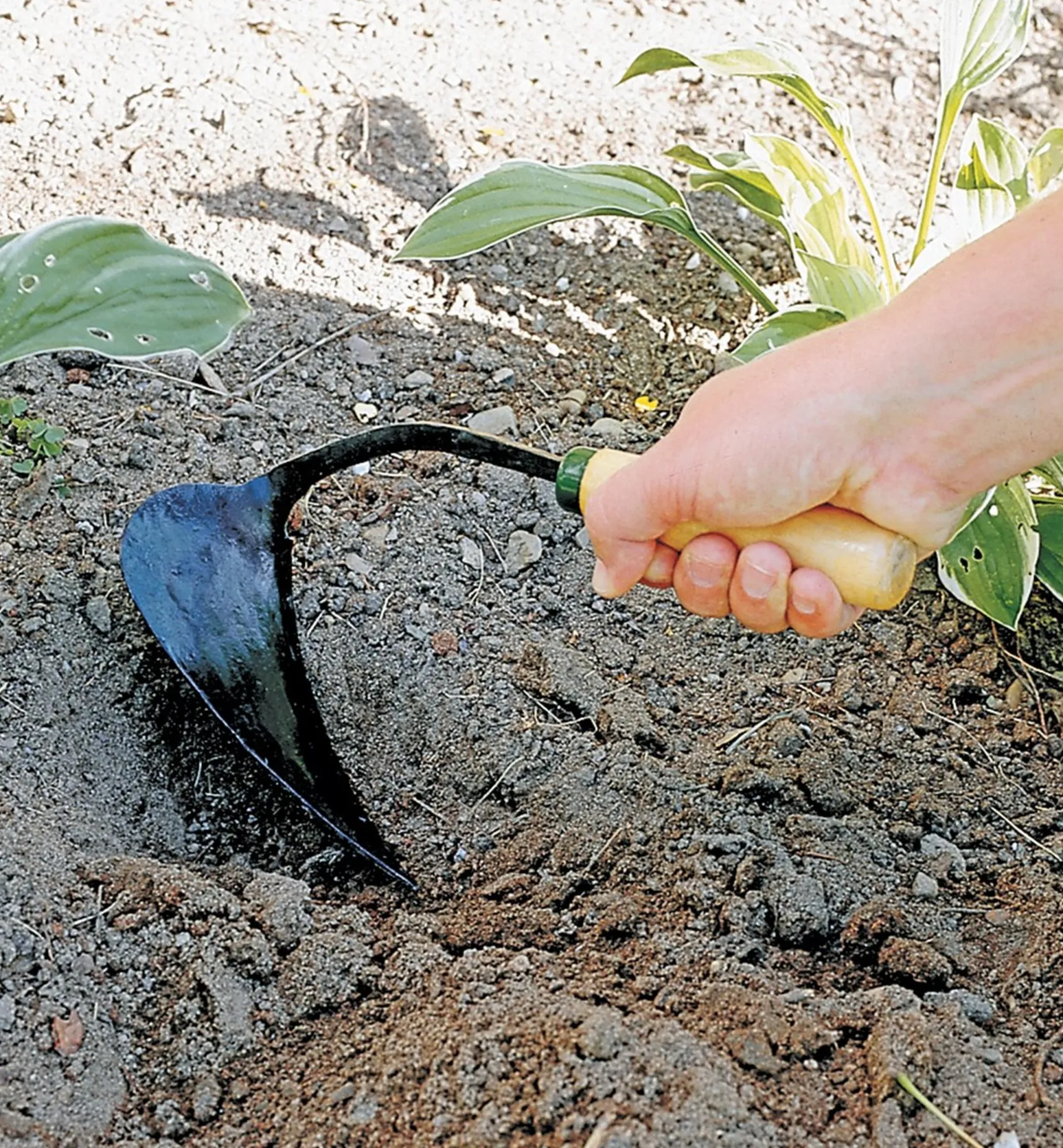 Outlet Ho-Mi Diggers Weeding