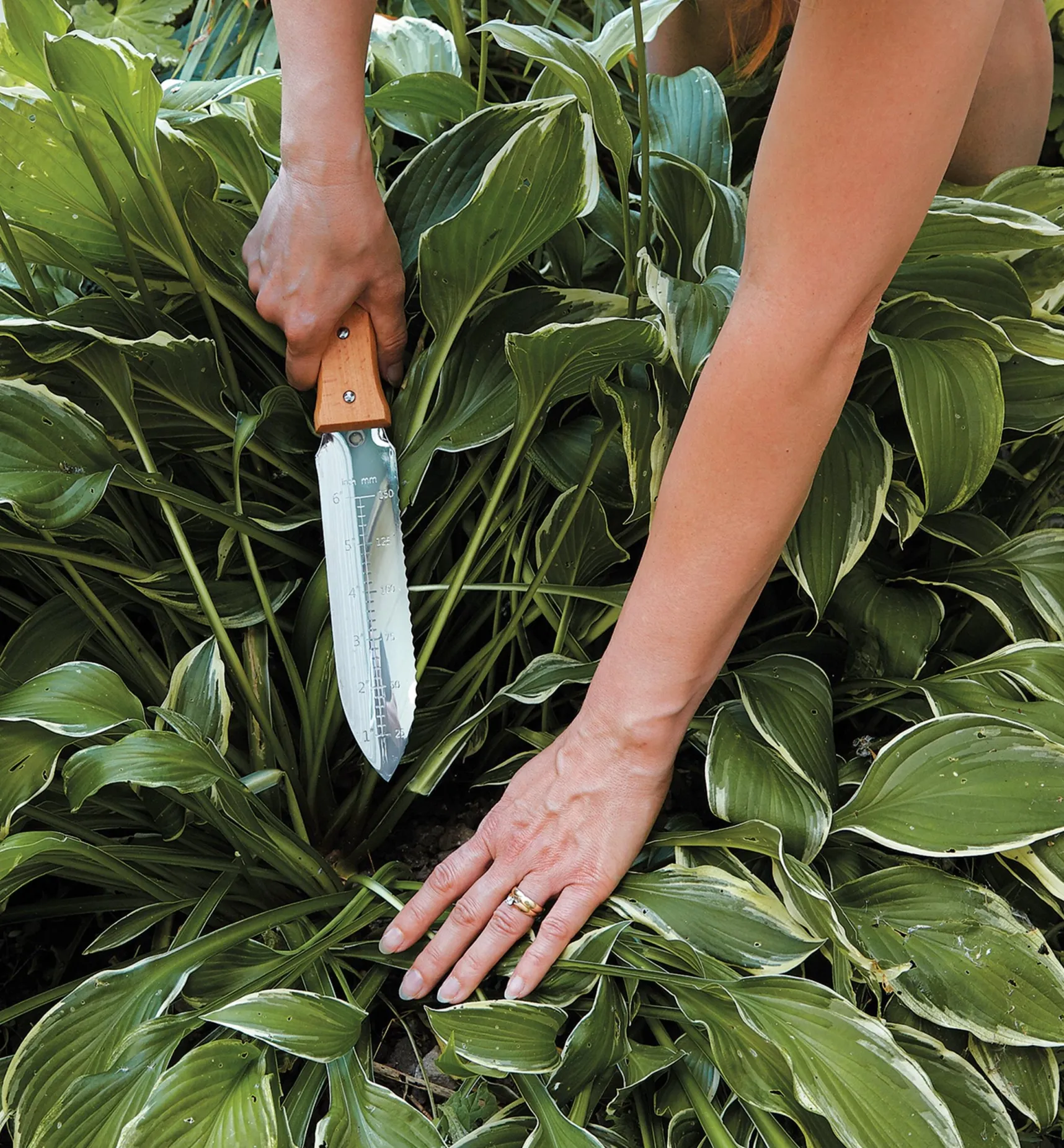 Clearance Hori Hori Knife Garden Care
