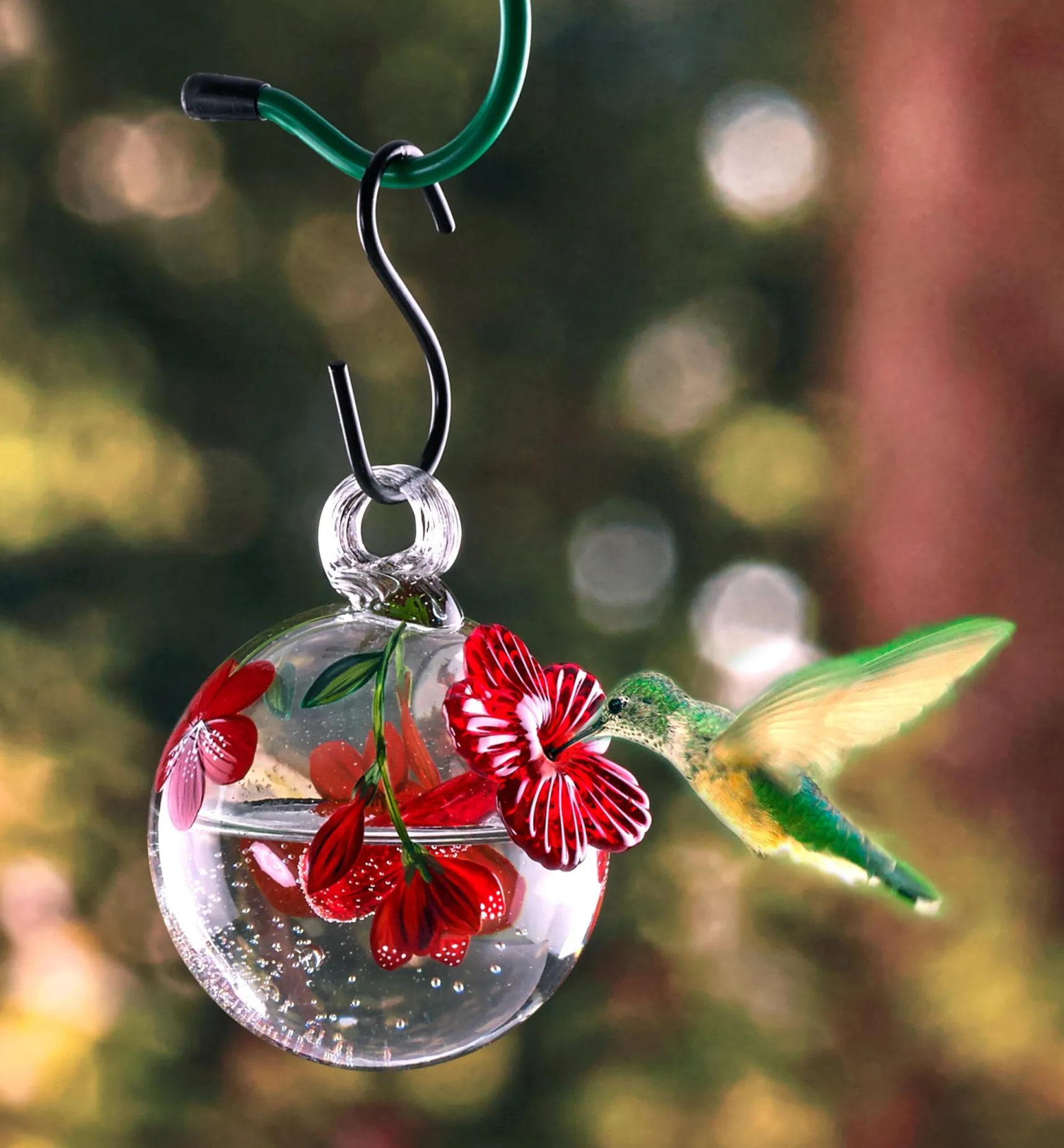 New Hummingbird Feeder Birding