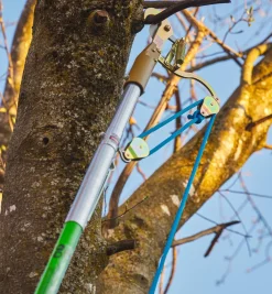 Jameson Professional Tree-Pruning Kit Pruners