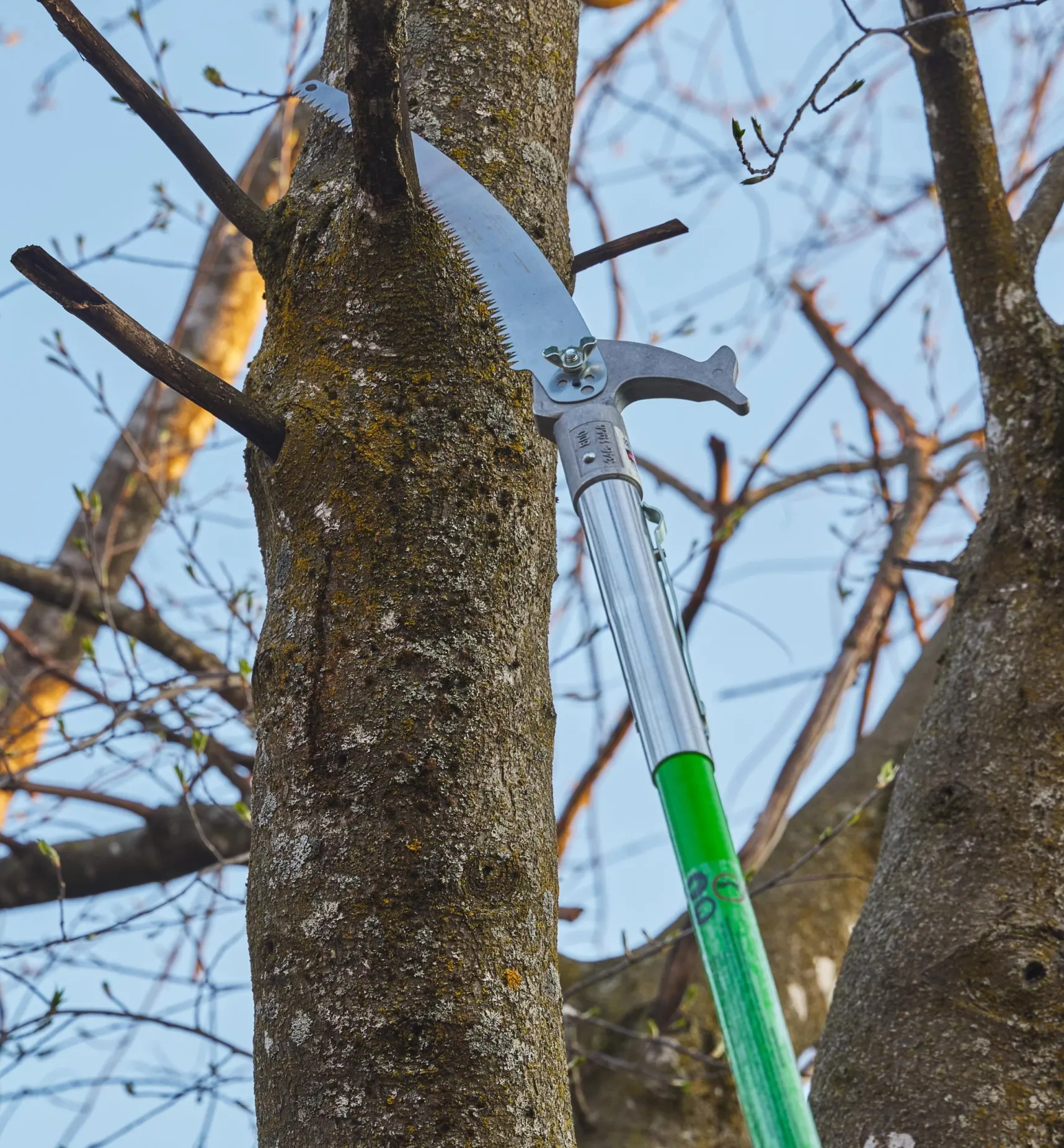 Jameson Professional Tree-Pruning Kit Pruners