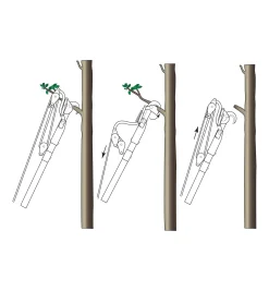 Jameson Professional Tree-Pruning Kit Pruners