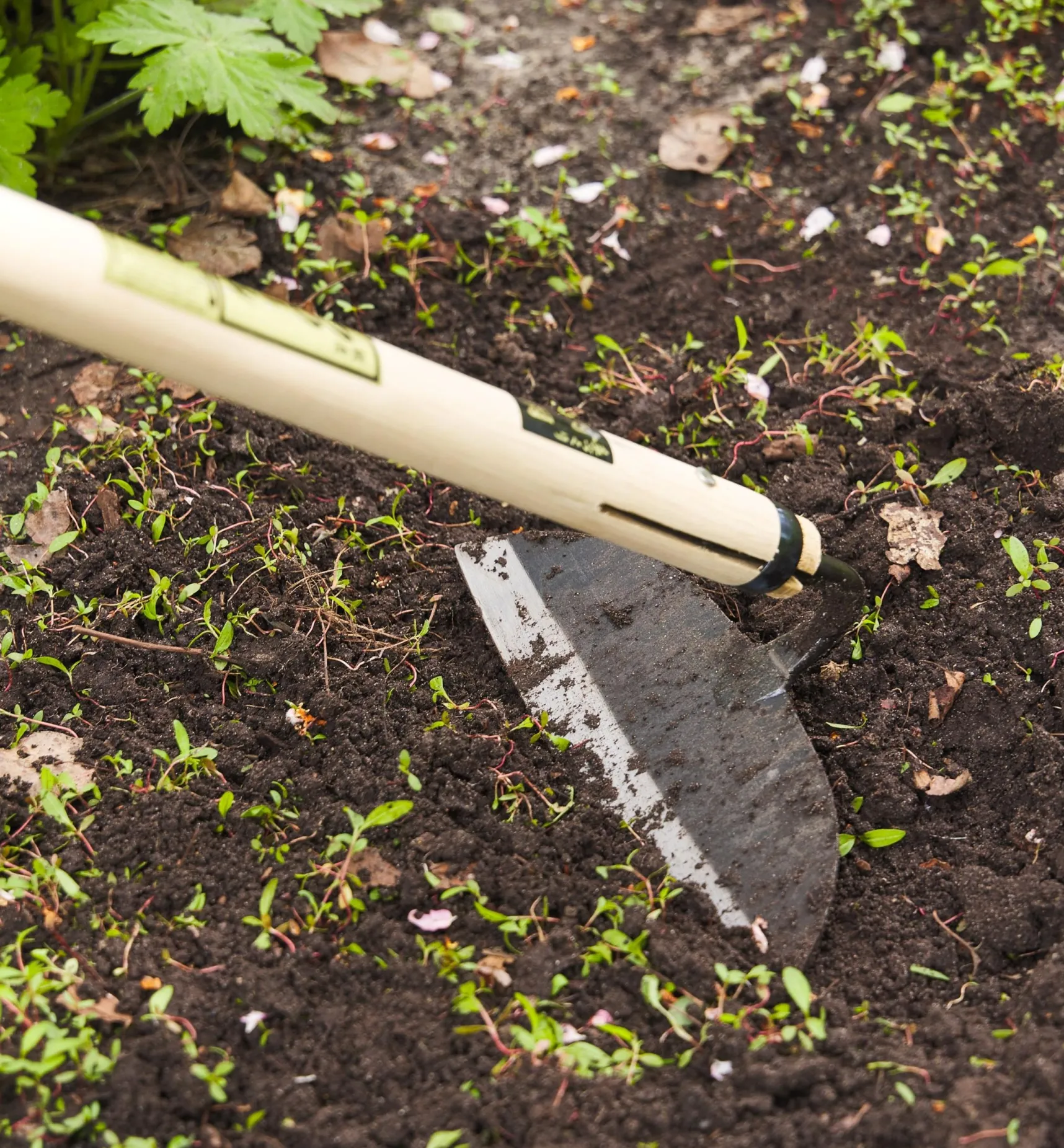 New Japanese Draw Hoe Weeding