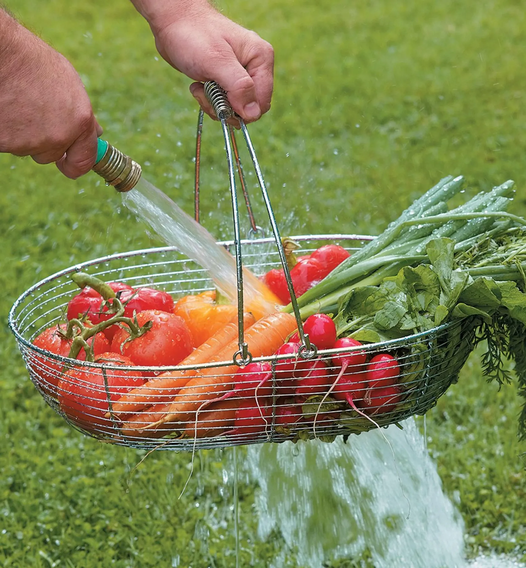Online Large Gardener's Wash Basket Harvesting