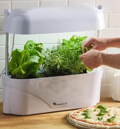 Online LED Grow Light & Planter Grow Lights