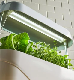 Online LED Grow Light & Planter Grow Lights