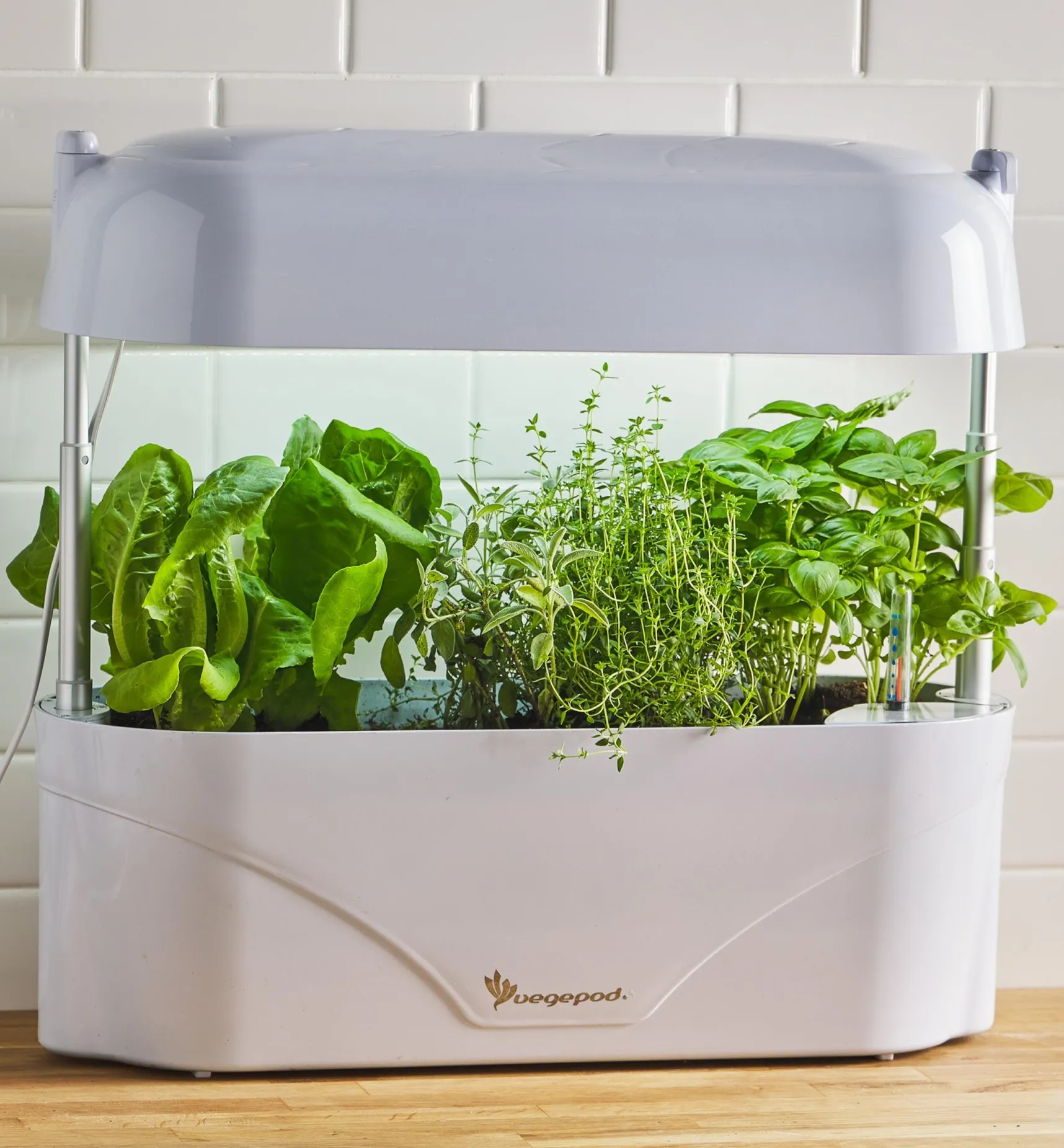 Online LED Grow Light & Planter Grow Lights