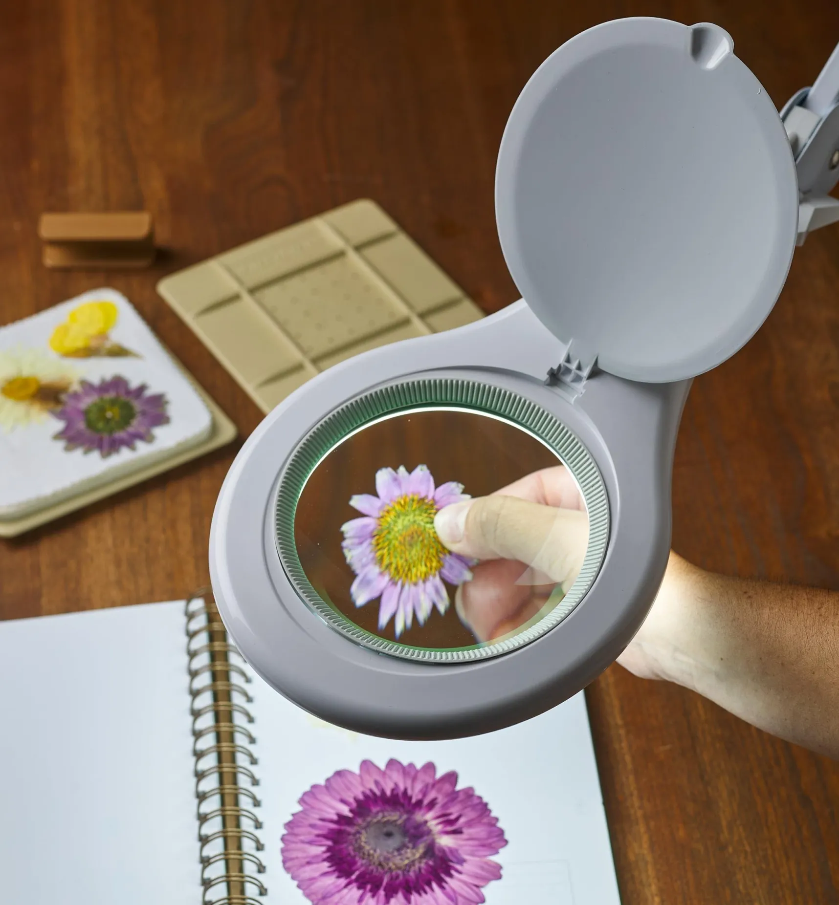 Sale LED Magnifying Bench Lamp Lighting