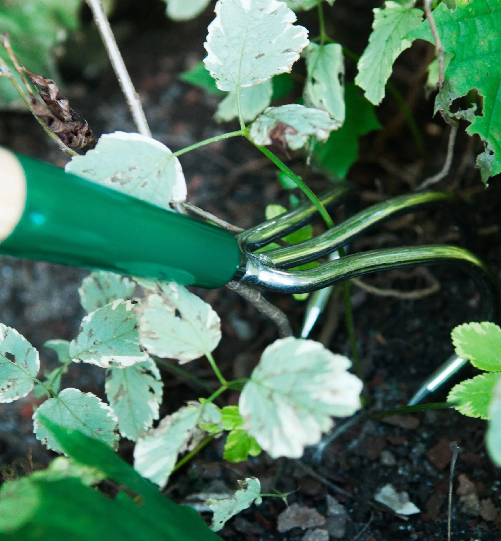 Best Claw Cultivator Weeding