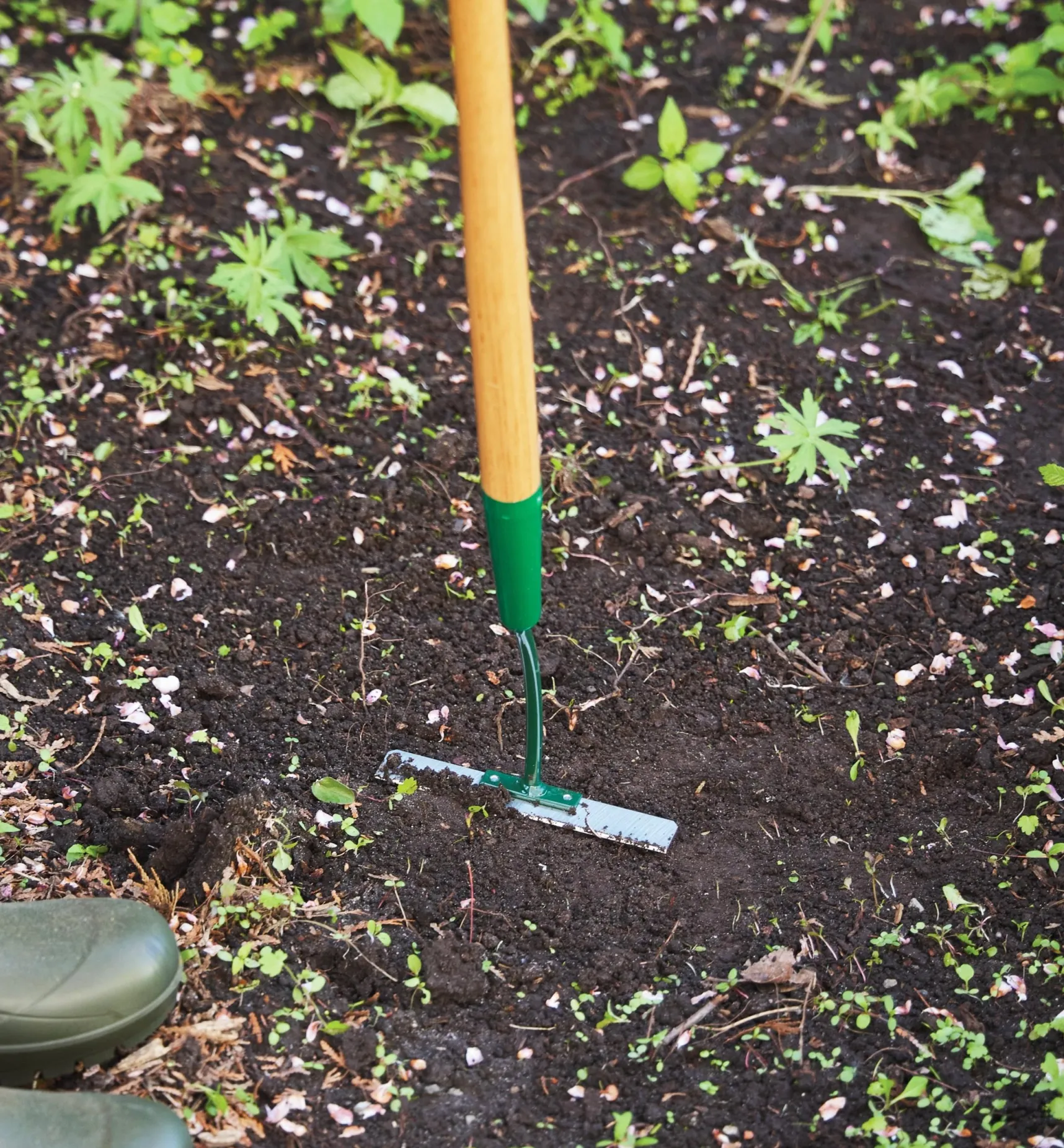 Sale Collinear Hoe Weeding