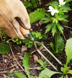 Hot Container Garden Jekyll Weeder Weeding