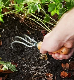 Online Cultivators Weeding