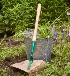 Clearance Dandelion Diggers Weeding