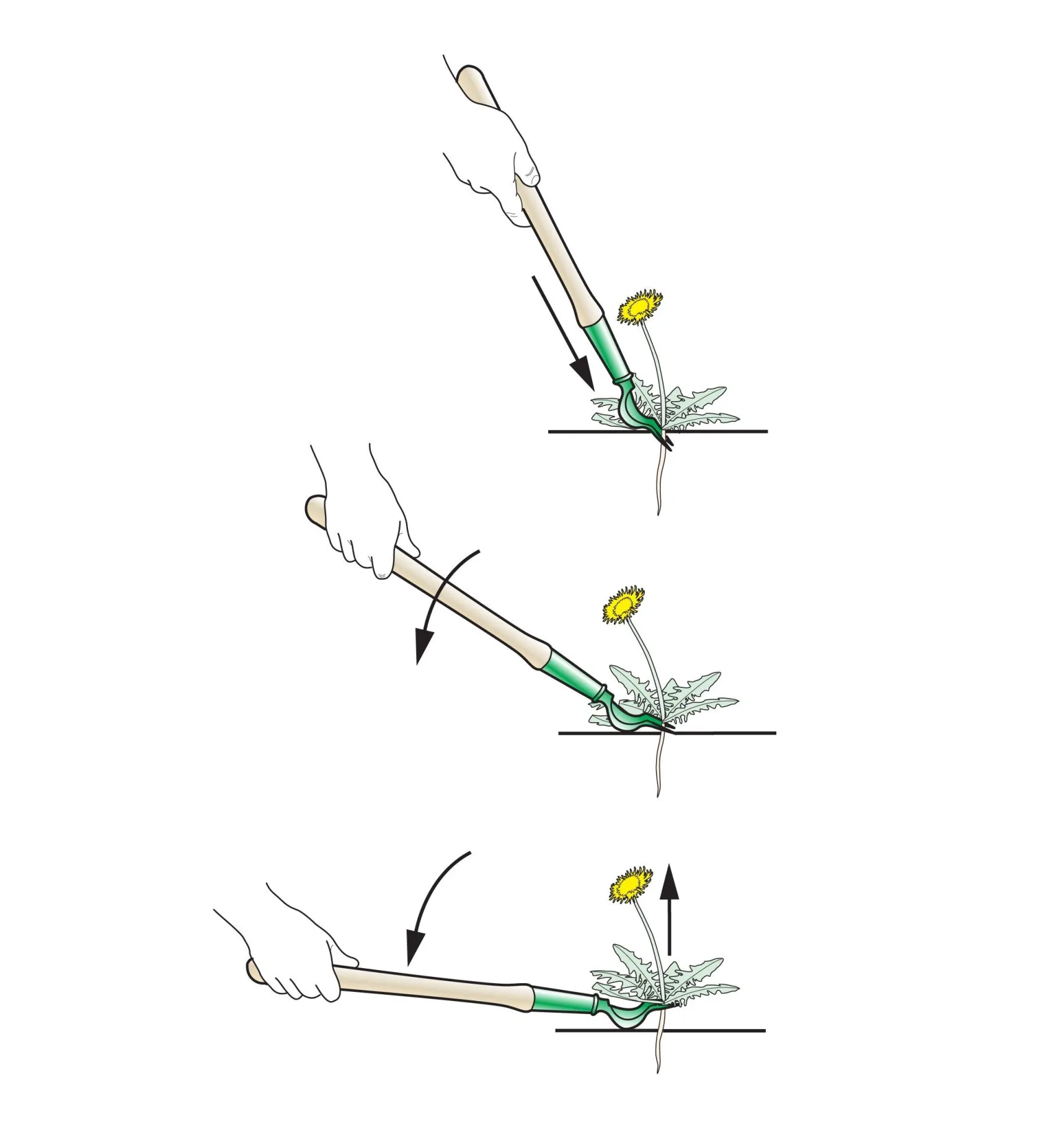 Clearance Dandelion Diggers Weeding