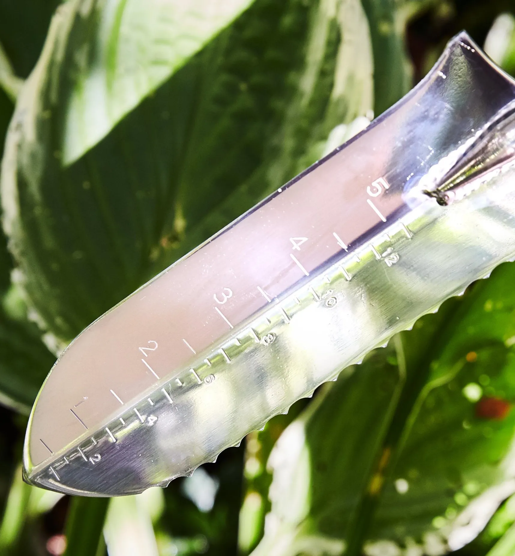 Best Garden Knives Weeding