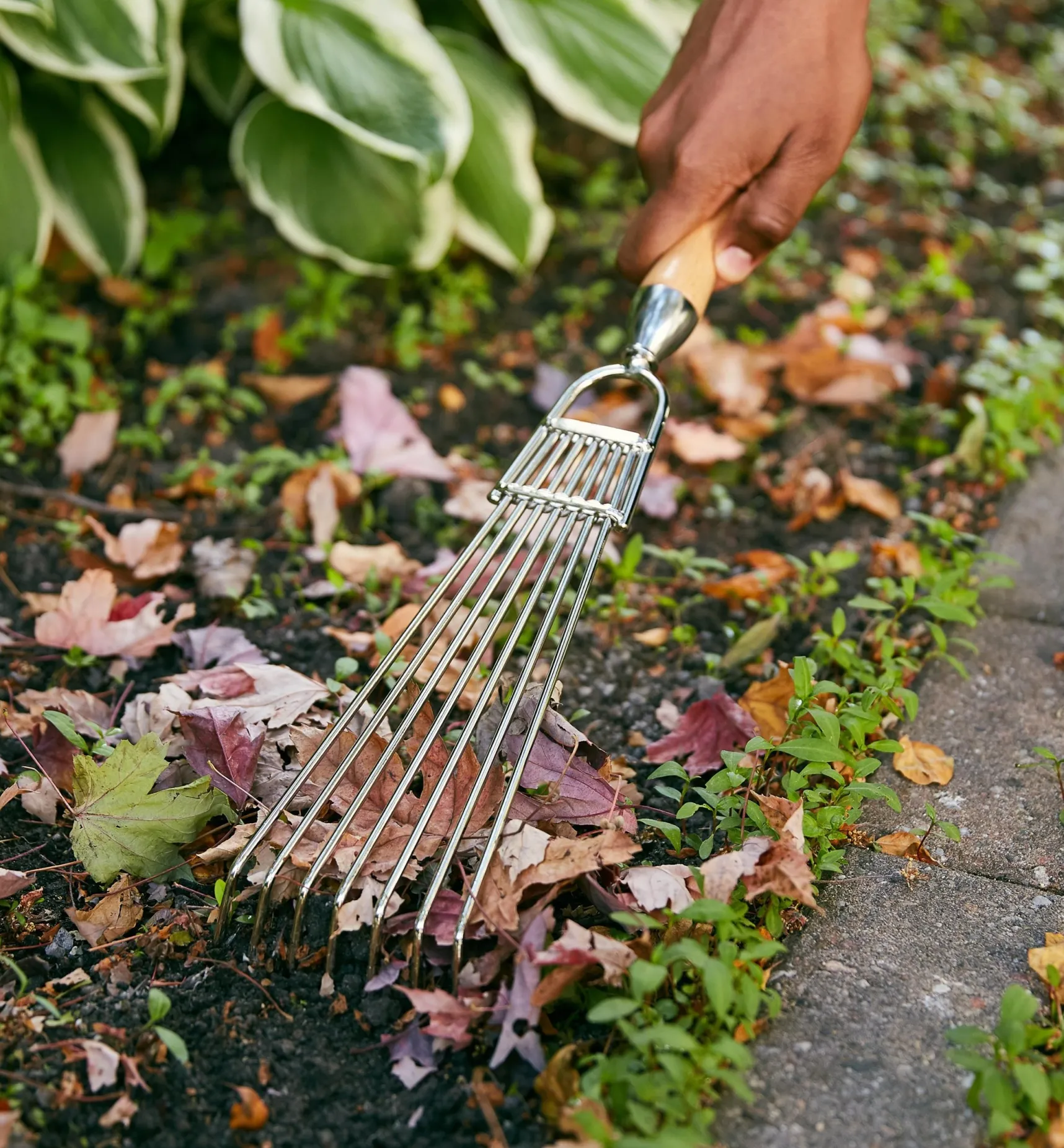 Best Hand Rake Rakes
