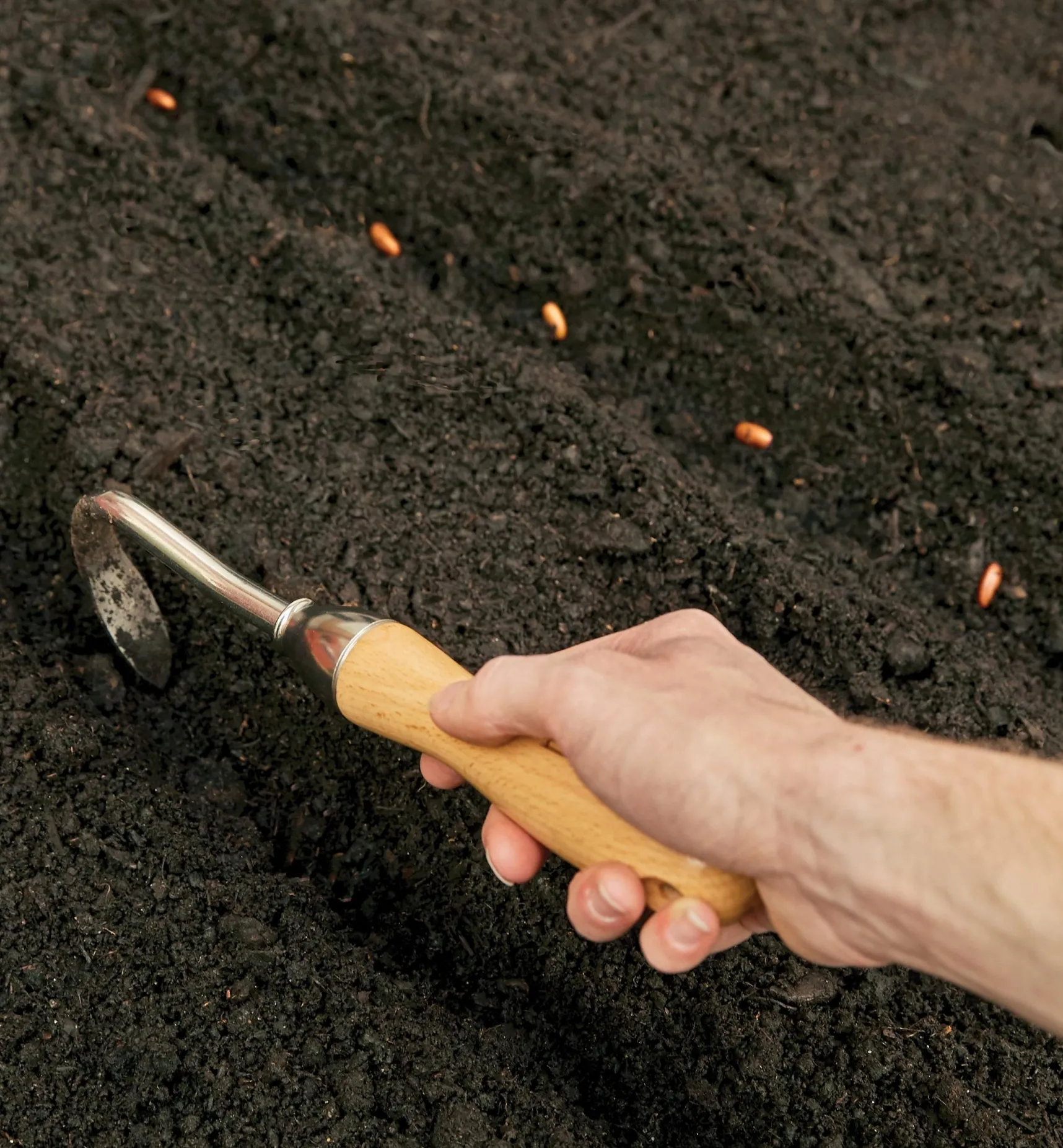 New One-Prong Cultivator Weeding