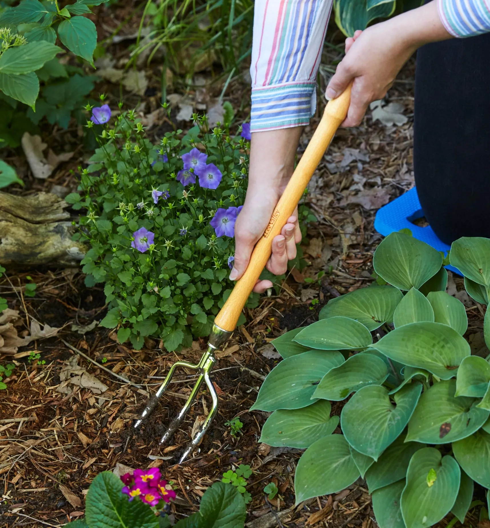 Hot Perennial Fork Harvesting