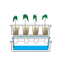 Sale Self-Watering Seed Starter Seed Starting
