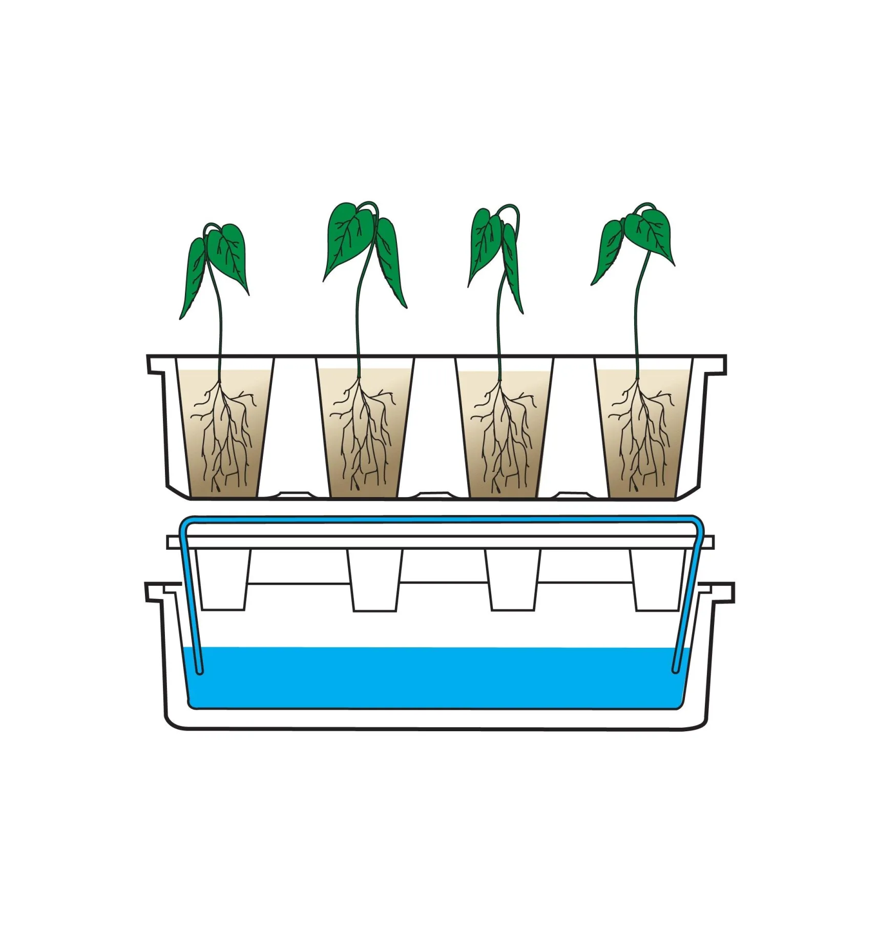 Sale Self-Watering Seed Starter Seed Starting