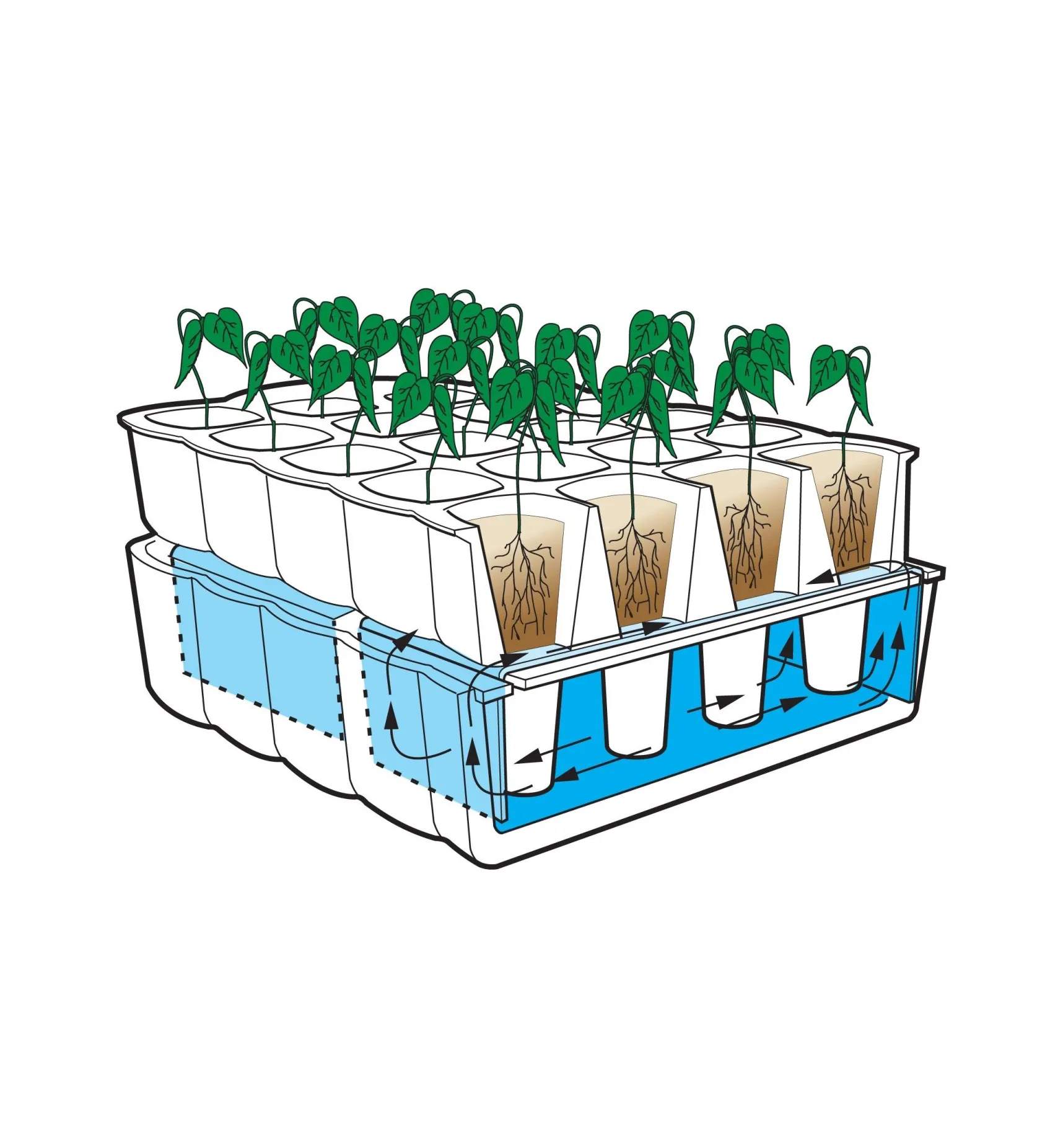 Sale Self-Watering Seed Starter Seed Starting
