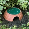 New Toad House Pest Control