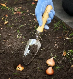 Sale Trowel Trowels