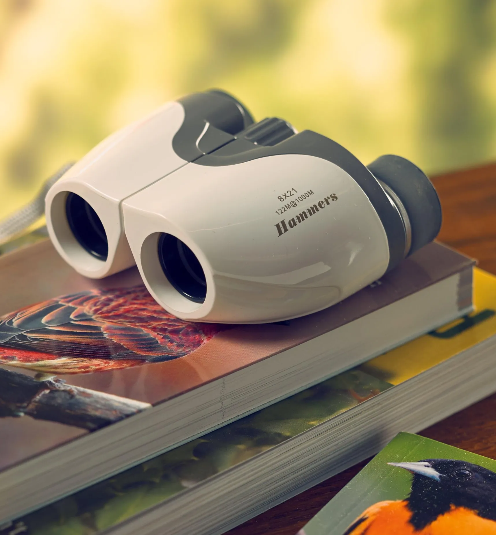 Best Lightweight Compact Binoculars Birding