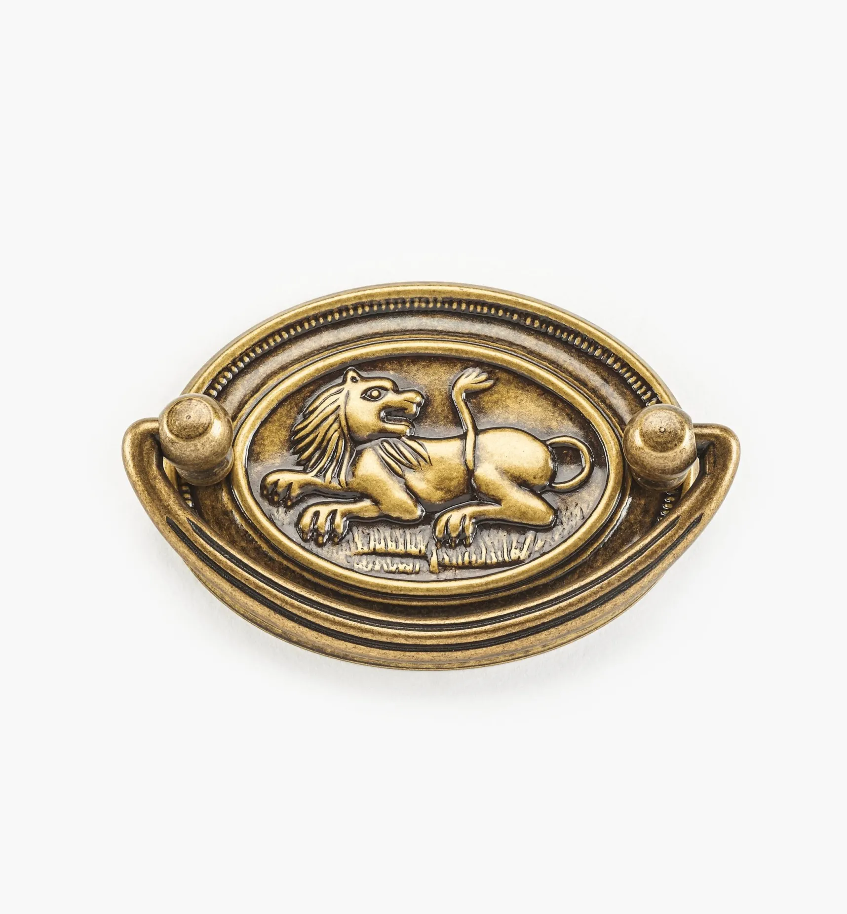 New Lion Plate Pulls Pulls