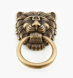 Best Lion's Head Ring Pulls Pulls