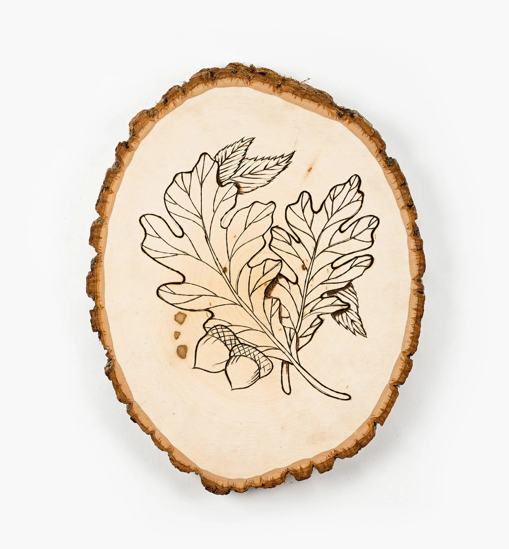 New Live-Edge Oval Basswood Plaques Supplies