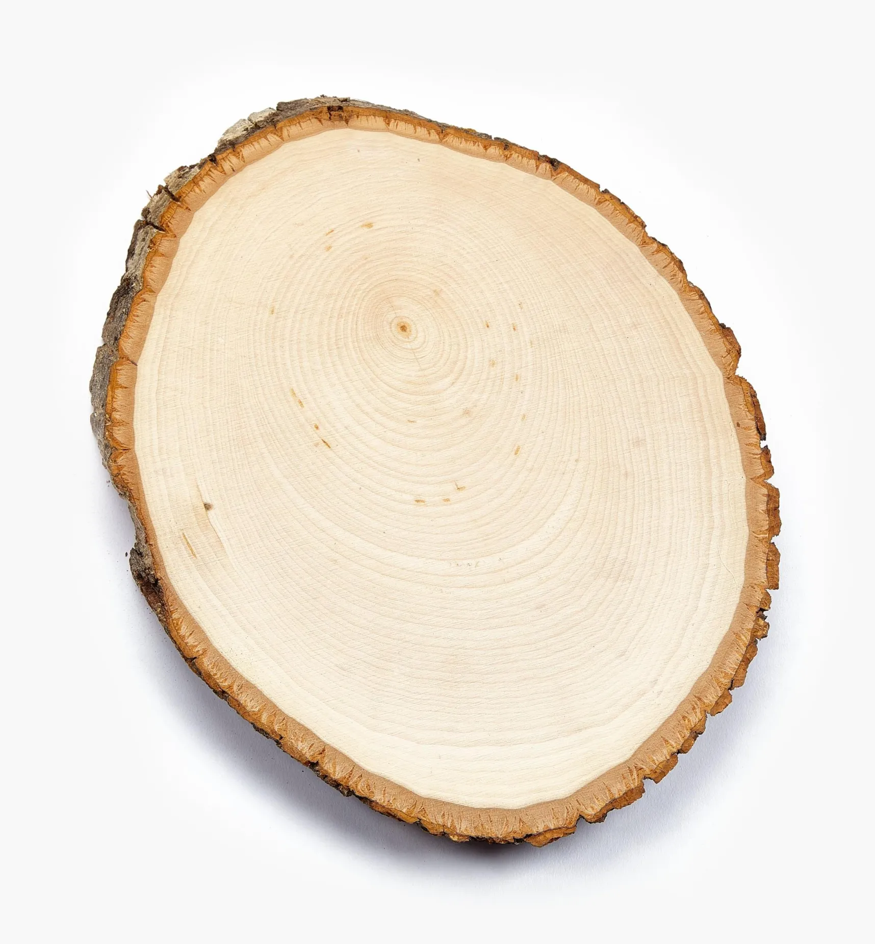 New Live-Edge Oval Basswood Plaques Supplies