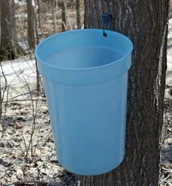 Best Maple Syrup Starter Kit Harvesting