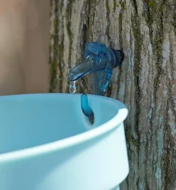 Best Maple Syrup Starter Kit Harvesting