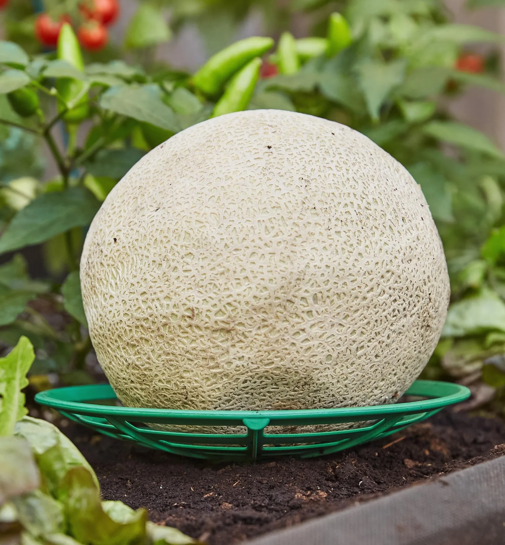 Hot Melon/Squash Cradles Garden Care