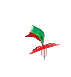 Best Nectar Guard Tips For Hummingbird Feeders Birding