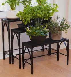 Best Nesting Plant Stands Container Gardening