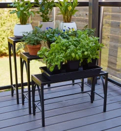 Best Nesting Plant Stands Container Gardening