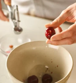 Olive & Cherry Pitter Kitchen Tools