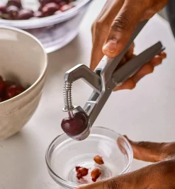 Olive & Cherry Pitter Kitchen Tools