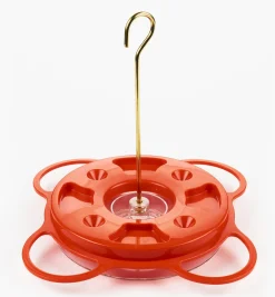 Hot Oriole Bird Feeder Birding
