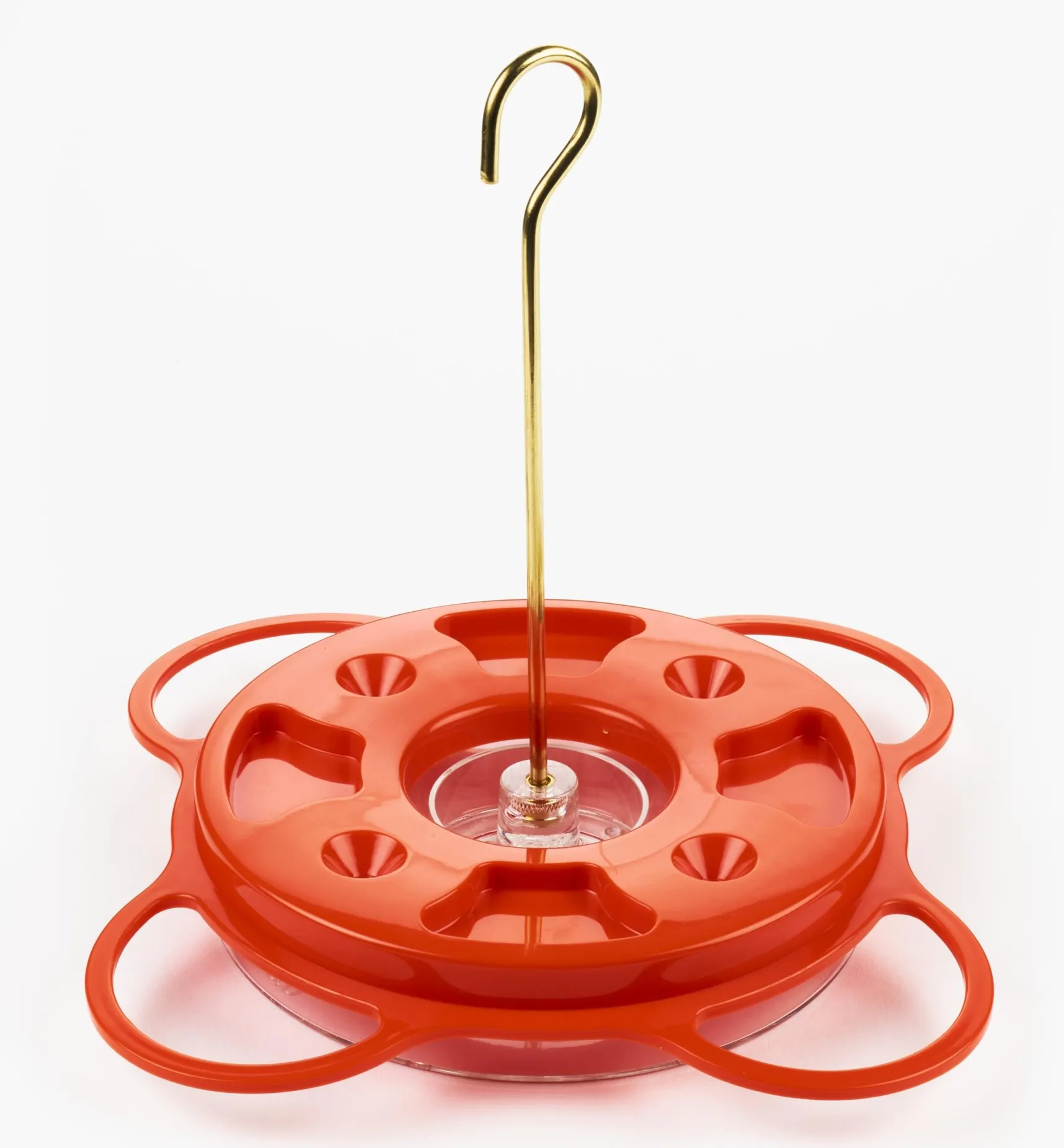 Hot Oriole Bird Feeder Birding