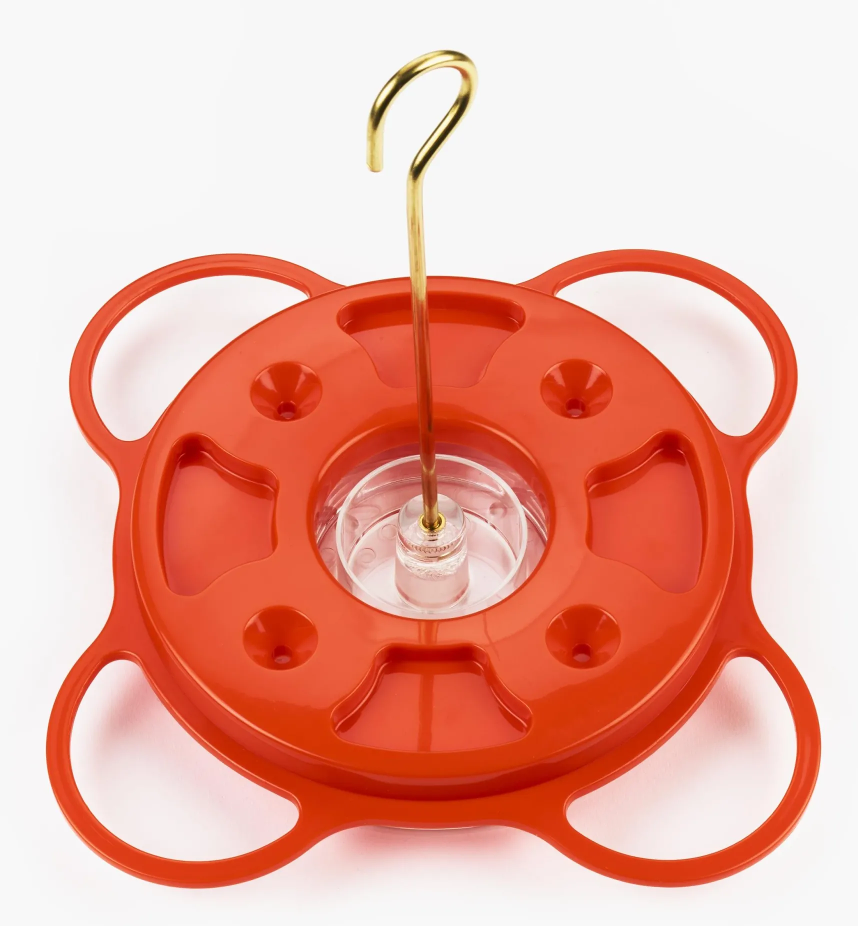Hot Oriole Bird Feeder Birding