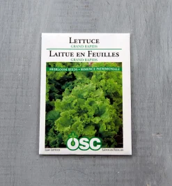 Clearance OSC Lettuce Seed Packets Seed Starting