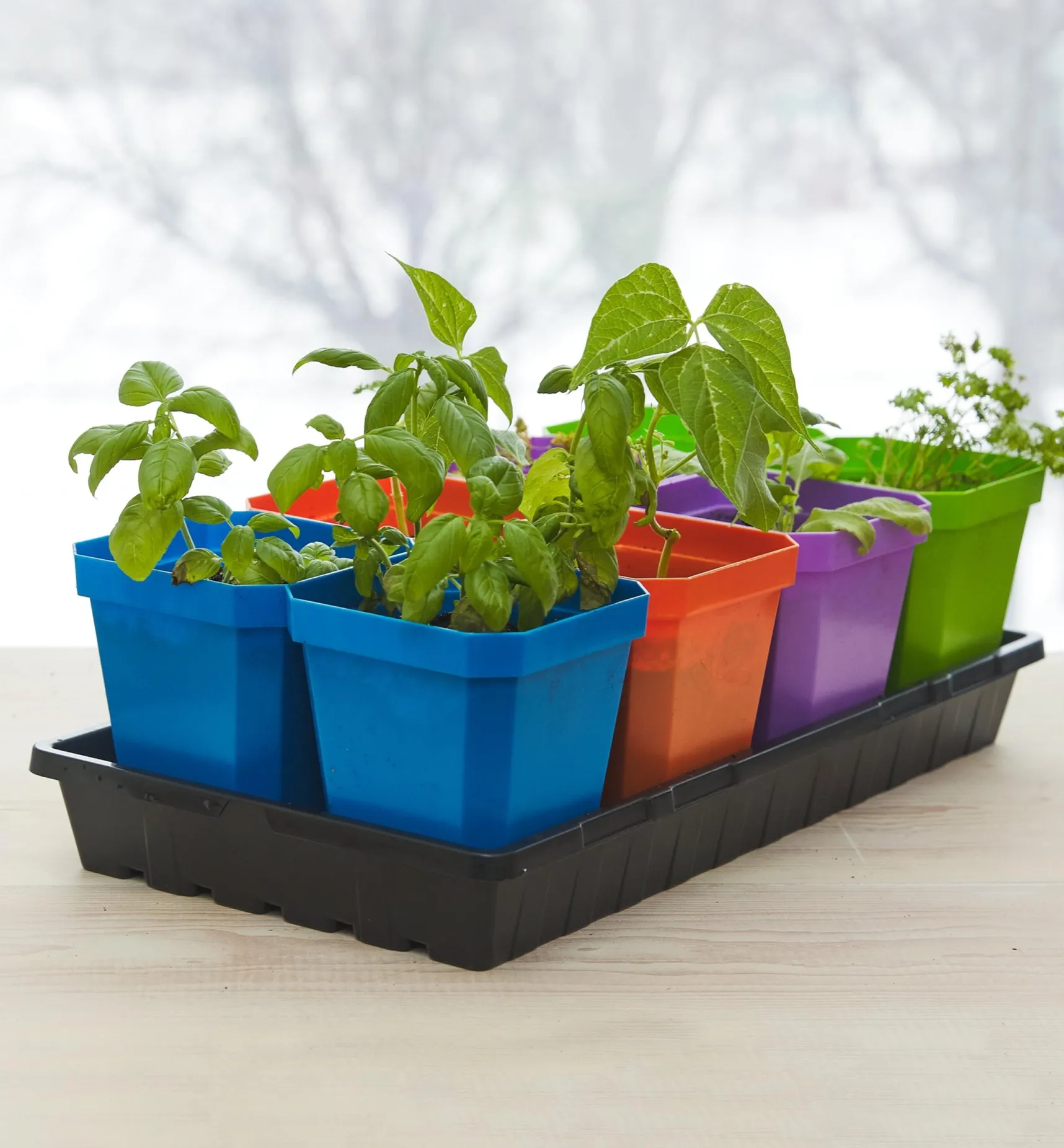 Hot 8-Pack Of 5" Pots With Propagation Tray Seed Starting