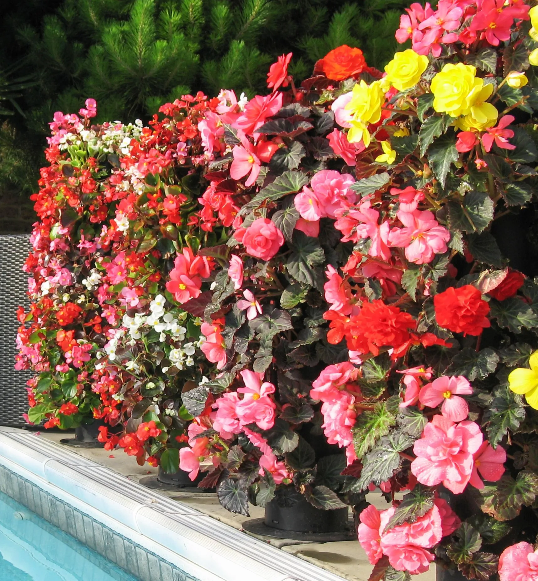 Clearance Pair Of Flower Towers Container Gardening