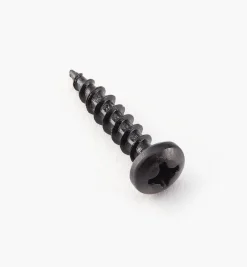Clearance Pan-Head Black Steel Screws Screws