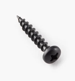 Clearance Pan-Head Black Steel Screws Screws