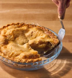Discount Pie/Cake Server Serveware
